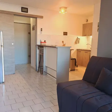 Apartment 2 Pieces Cap D'agde Ct045-151 Agde
